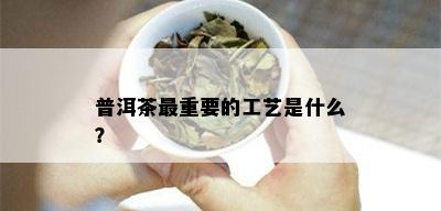 普洱茶最重要的工艺是什么？