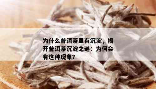 为什么普洱茶里有沉淀，揭开普洱茶沉淀之谜：为何会有这种现象？