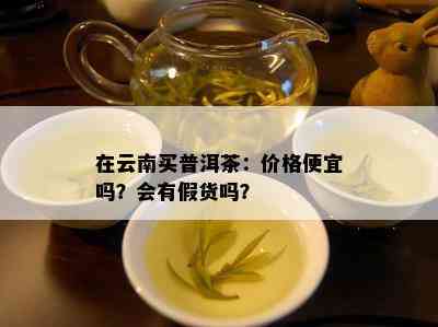 在云南买普洱茶：价格便宜吗？会有假货吗？