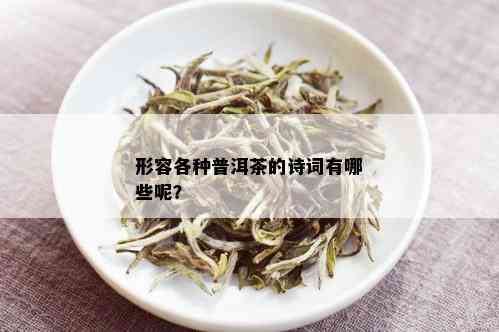 形容各种普洱茶的诗词有哪些呢？