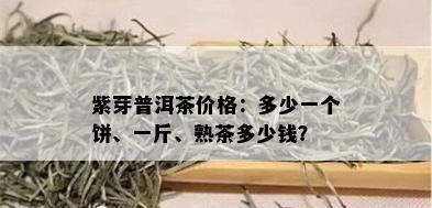 紫芽普洱茶价格：多少一个饼、一斤、熟茶多少钱？