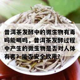 普洱茶发酵中的微生物有吗能喝吗，普洱茶发酵过程中产生的微生物是否对人体有害？能否安全饮用？