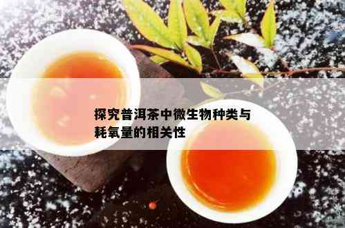 探究普洱茶中微生物种类与耗氧量的相关性