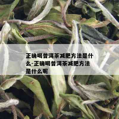 正确喝普洱茶减肥方法是什么-正确喝普洱茶减肥方法是什么呢