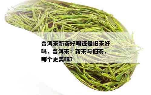 普洱茶新茶好喝还是旧茶好喝，普洱茶：新茶与旧茶，哪个更美味？