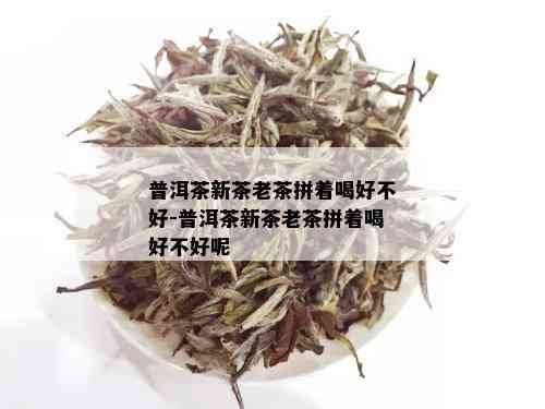 普洱茶新茶老茶拼着喝好不好-普洱茶新茶老茶拼着喝好不好呢