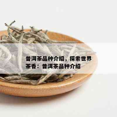 普洱茶品种介绍，探索世界茶香：普洱茶品种介绍