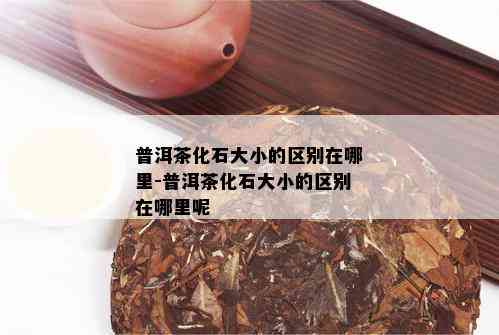 普洱茶化石大小的区别在哪里-普洱茶化石大小的区别在哪里呢