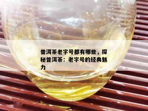 普洱茶老字号都有哪些，探秘普洱茶：老字号的经典魅力