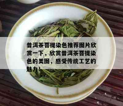 普洱茶菩提染色推荐图片欣赏一下，欣赏普洱茶菩提染色的美图，感受传统工艺的魅力！