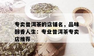 专卖普洱茶的店铺名，品味醇香人生：专业普洱茶专卖店推荐