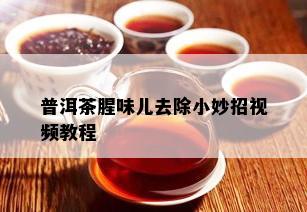 普洱茶腥味儿去除小妙招视频教程