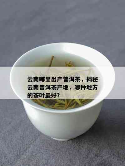 云南哪里出产普洱茶，揭秘云南普洱茶产地，哪种地方的茶叶更好？