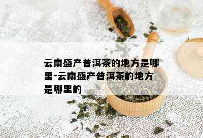 云南盛产普洱茶的地方是哪里-云南盛产普洱茶的地方是哪里的