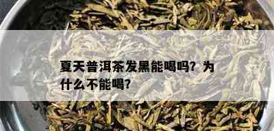 夏天普洱茶发黑能喝吗？为什么不能喝？