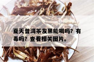 夏天普洱茶发黑能喝吗？有吗？查看相关图片。