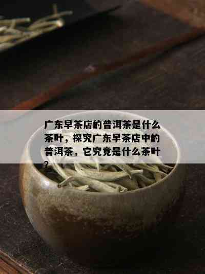 广东早茶店的普洱茶是什么茶叶，探究广东早茶店中的普洱茶，它究竟是什么茶叶？