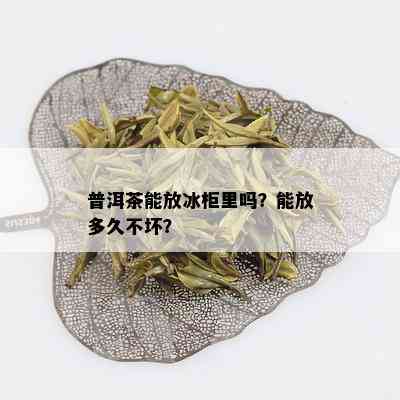 普洱茶能放冰柜里吗？能放多久不坏？