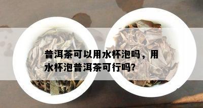 普洱茶可以用水杯泡吗，用水杯泡普洱茶可行吗？