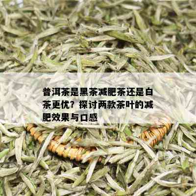 普洱茶是黑茶减肥茶还是白茶更优？探讨两款茶叶的减肥效果与口感