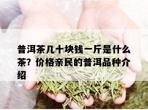 普洱茶几十块钱一斤是什么茶？价格亲民的普洱品种介绍