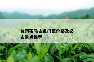 普洱茶马古道门票价格及必去景点推荐