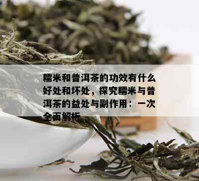 糯米和普洱茶的功效有什么好处和坏处，探究糯米与普洱茶的益处与副作用：一次全面解析