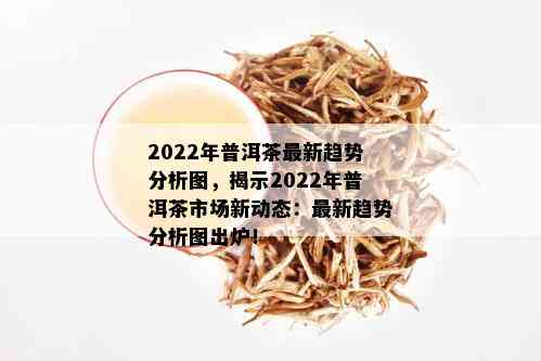 2022年普洱茶最新趋势分析图，揭示2022年普洱茶市场新动态：最新趋势分析图出炉！