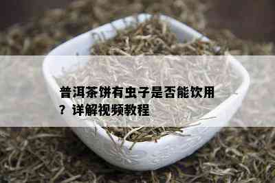 普洱茶饼有虫子是否能饮用？详解视频教程