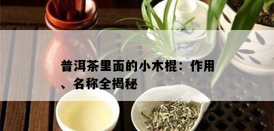 普洱茶里面的小木棍：作用、名称全揭秘