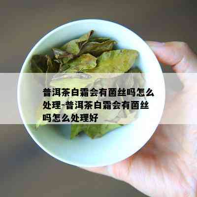 普洱茶白霜会有菌丝吗怎么处理-普洱茶白霜会有菌丝吗怎么处理好