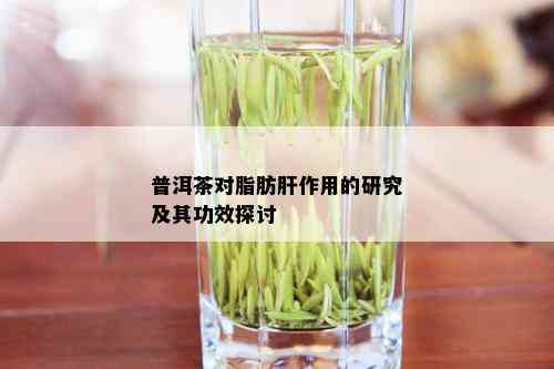 普洱茶对脂肪肝作用的研究及其功效探讨