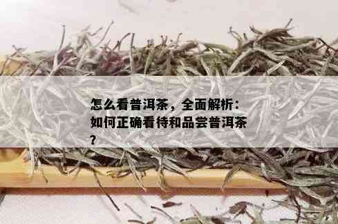 怎么看普洱茶，全面解析：如何正确看待和品尝普洱茶？