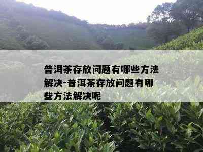 普洱茶存放问题有哪些方法解决-普洱茶存放问题有哪些方法解决呢