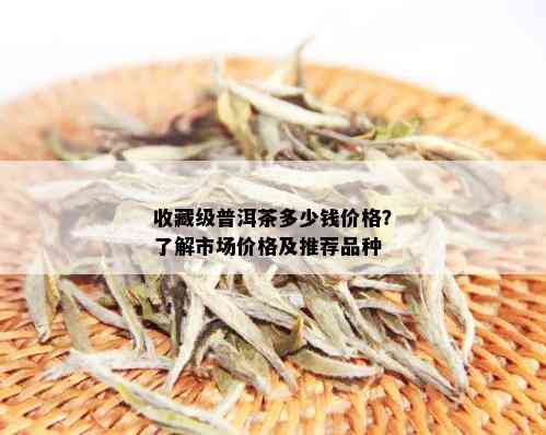 收藏级普洱茶多少钱价格？了解市场价格及推荐品种