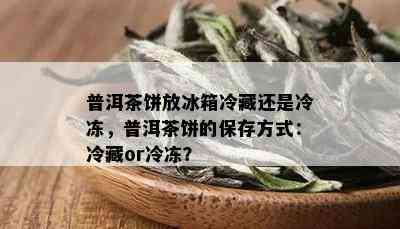 普洱茶饼放冰箱冷藏还是冷冻，普洱茶饼的保存方式：冷藏or冷冻？