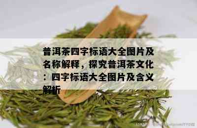 普洱茶四字标语大全图片及名称解释，探究普洱茶文化：四字标语大全图片及含义解析