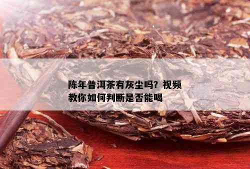 陈年普洱茶有灰尘吗？视频教你如何判断是否能喝