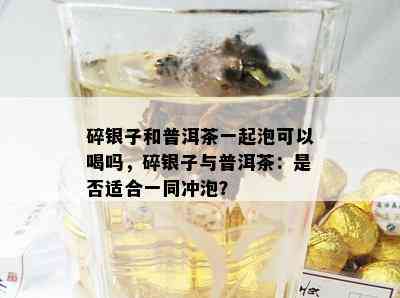 碎银子和普洱茶一起泡可以喝吗，碎银子与普洱茶：是否适合一同冲泡？