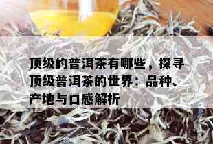 顶级的普洱茶有哪些，探寻顶级普洱茶的世界：品种、产地与口感解析