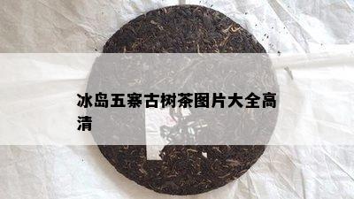 冰岛五寨古树茶图片大全高清