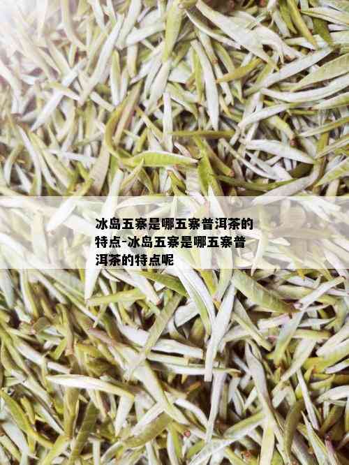 冰岛五寨是哪五寨普洱茶的特点-冰岛五寨是哪五寨普洱茶的特点呢