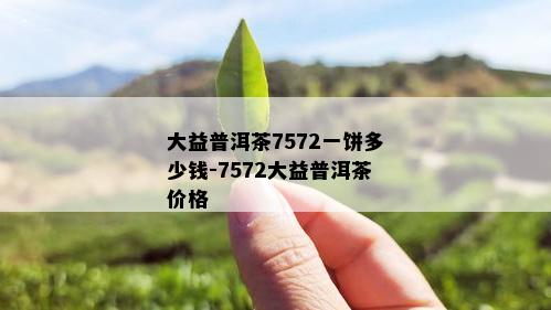 大益普洱茶7572一饼多少钱-7572大益普洱茶价格