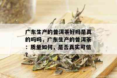 广东生产的普洱茶好吗是真的吗吗，广东生产的普洱茶：质量如何，是否真实可信？