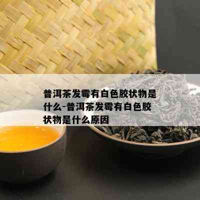 普洱茶发霉有白色胶状物是什么-普洱茶发霉有白色胶状物是什么原因