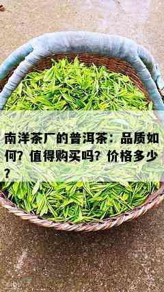 南洋茶厂的普洱茶：品质如何？值得购买吗？价格多少？