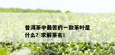 普洱茶中最苦的一款茶叶是什么？求解茶名！