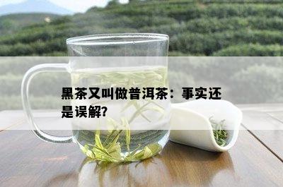 黑茶又叫做普洱茶：事实还是误解？