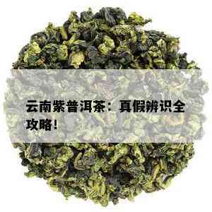 云南紫普洱茶：真假辨识全攻略！