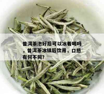 普洱茶泡好后可以冰着喝吗，普洱茶冰镇后饮用，口感有何不同？